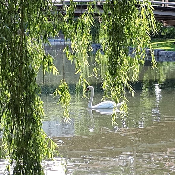 Meet your Posher, Beth - Picture 1 of 2